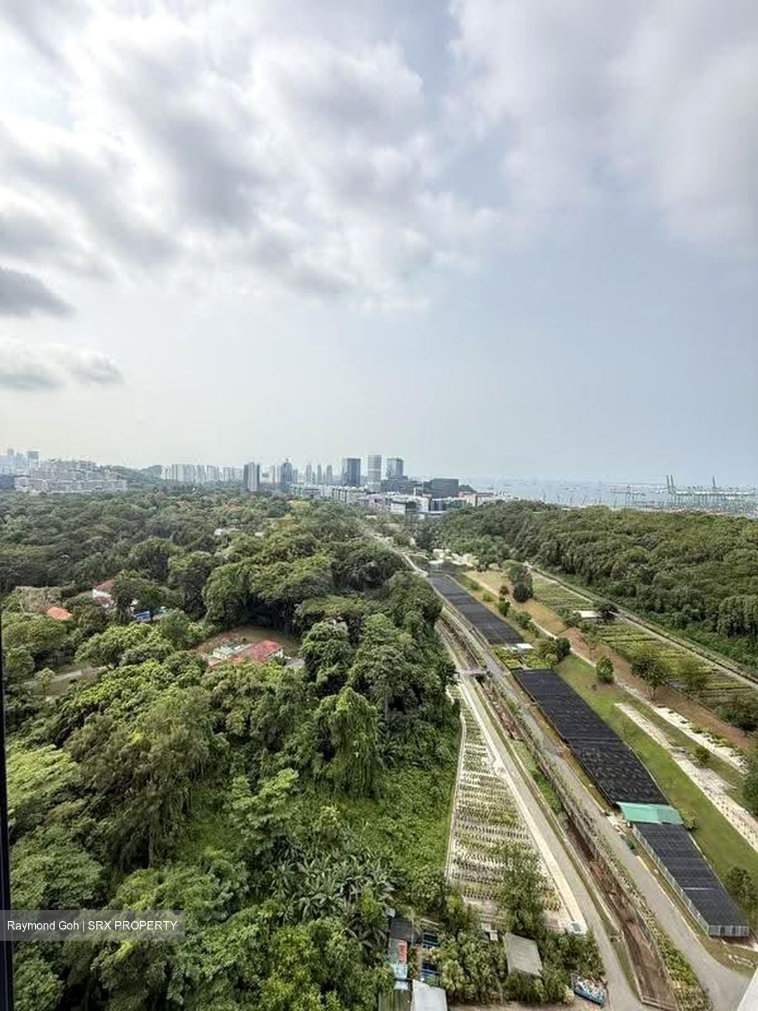 Normanton Park (D5), Apartment #612065861